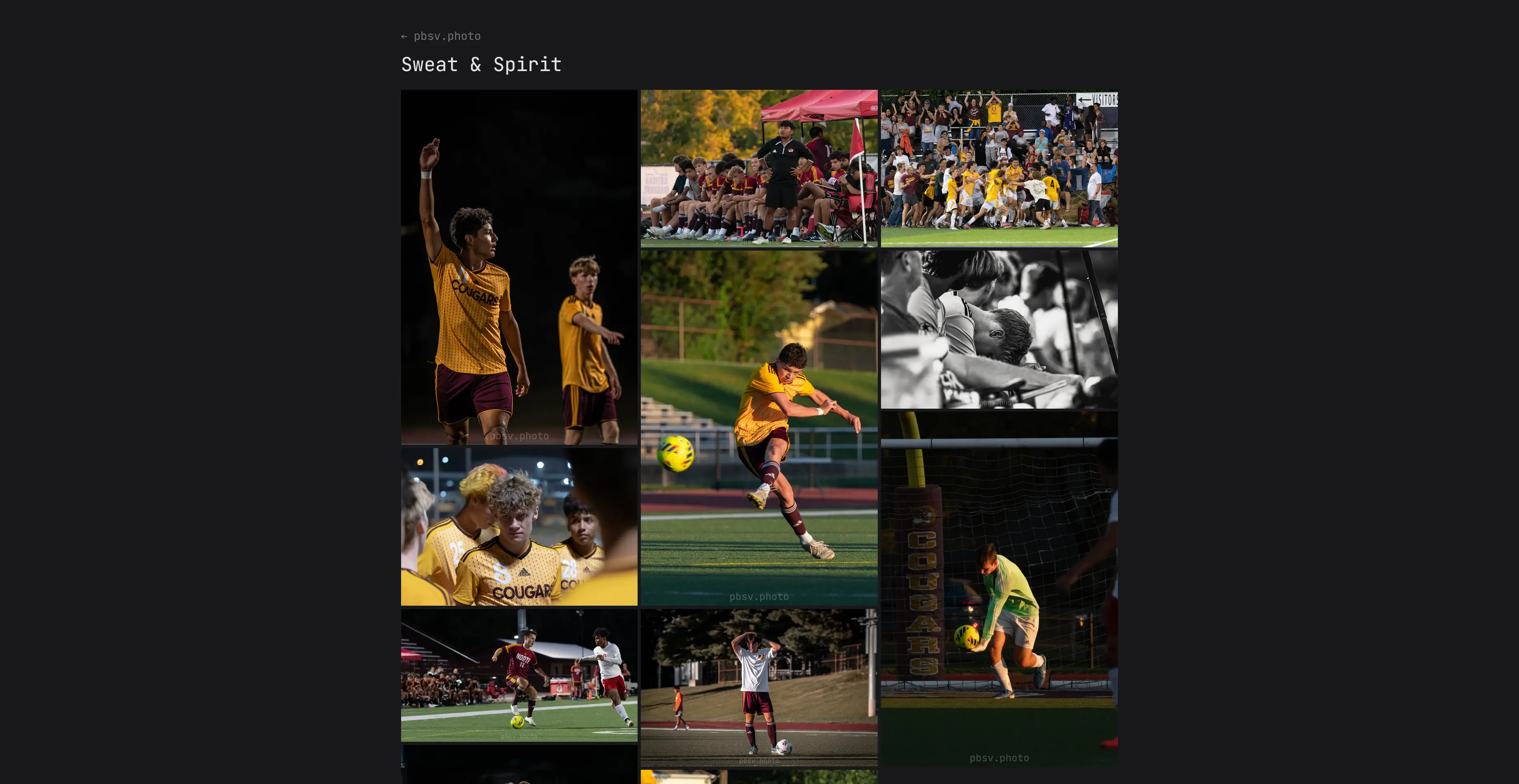 A screenshot of the desktop portfolio page of pbsv.photo.