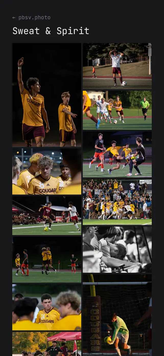 A screenshot of the mobile portfolio page of pbsv.photo.